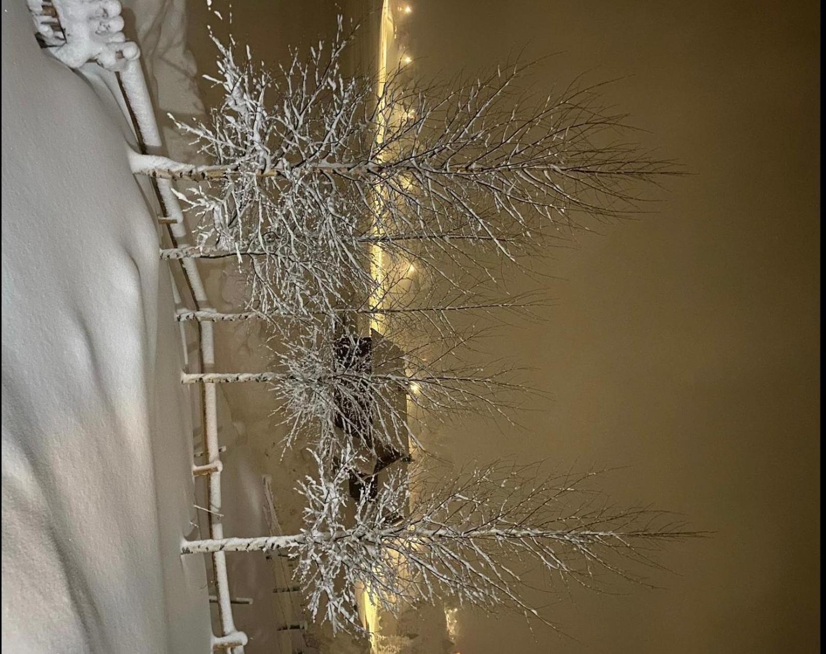 Guest House Sky Blue Žabljak Екстериор снимка