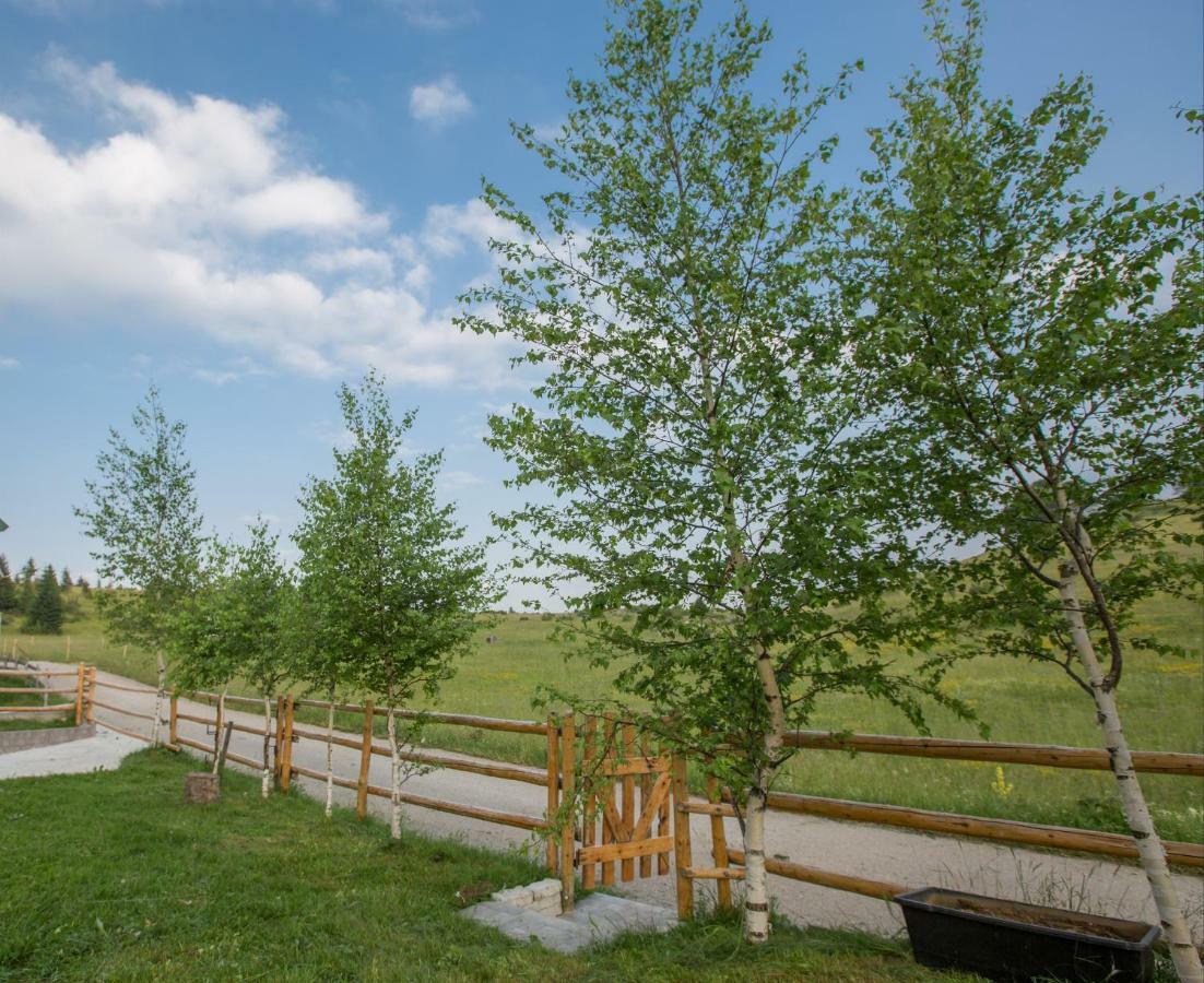 Guest House Sky Blue Žabljak Екстериор снимка