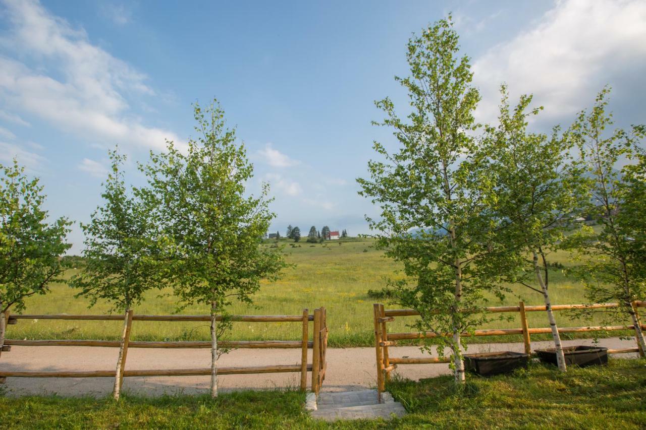 Guest House Sky Blue Žabljak Екстериор снимка